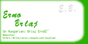 erno brlaj business card